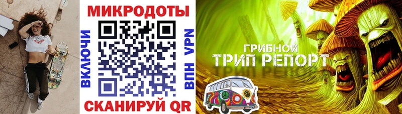 OMG как войти  Юрьев-Польский  Галлюциногенные грибы мицелий 